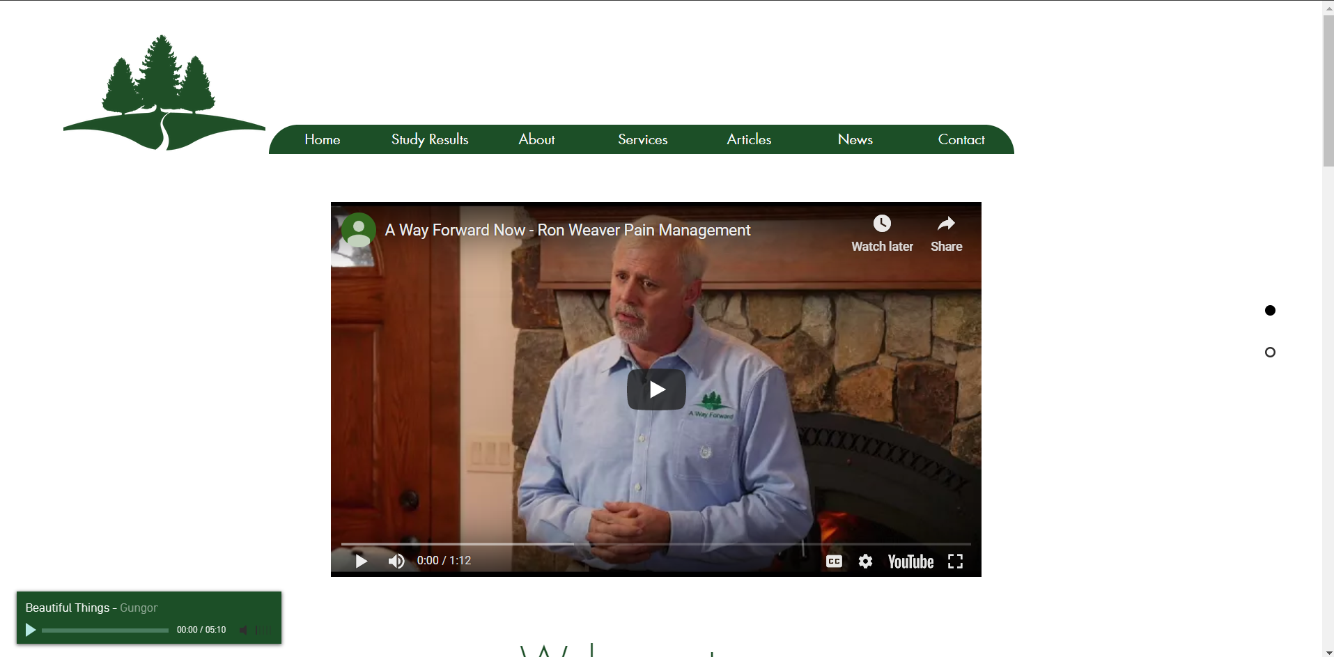 Fake home page